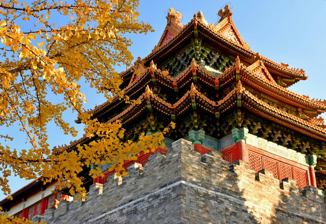 Arborele pagodelor din Orașul Interzis Arborele pagodelor din Orașul Interzis