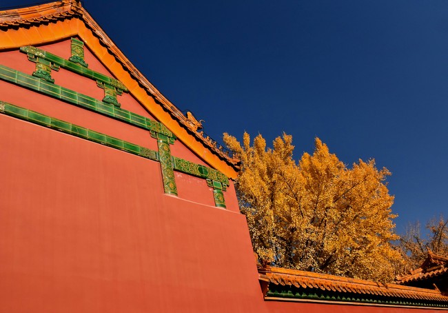 Arborele pagodelor din Orașul Interzis