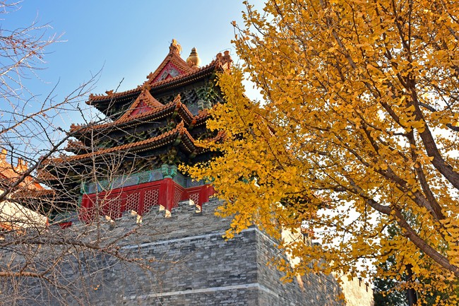 Arborele pagodelor din Orașul Interzis