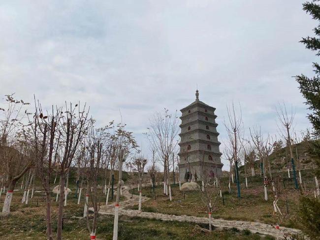 Vechea cetate a Protectoratului Anxi din orașul Kuqa