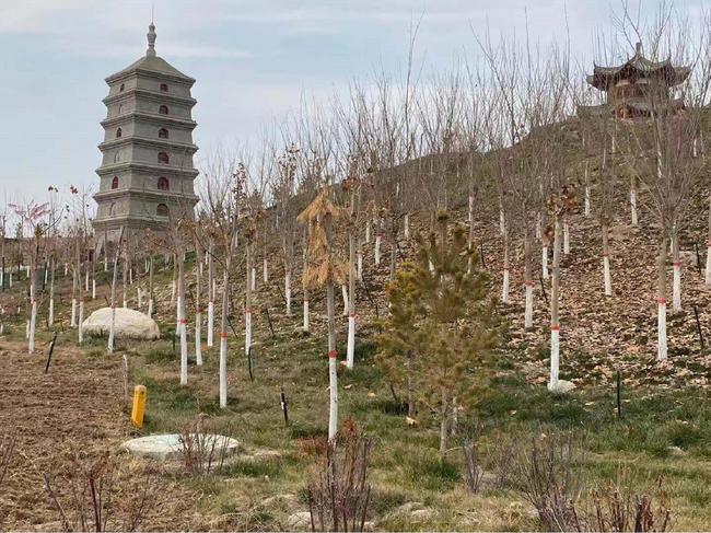 Vechea cetate a Protectoratului Anxi din orașul Kuqa Vechea cetate a Protectoratului Anxi din orașul Kuqa