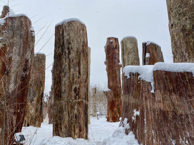 Parcul ecologic antic din Xinjiang