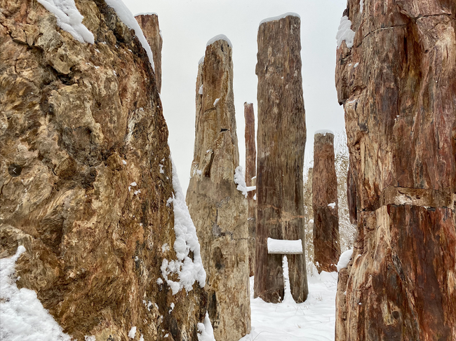 Parcul ecologic antic din Xinjiang