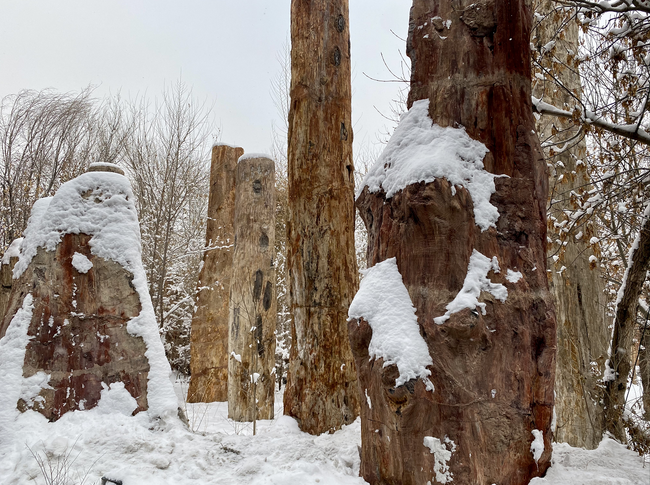 Parcul ecologic antic din Xinjiang Parcul ecologic antic din Xinjiang