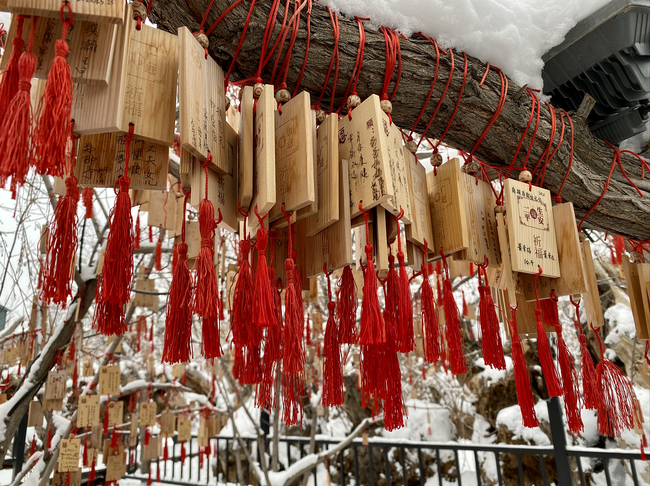 Parcul ecologic antic din Xinjiang