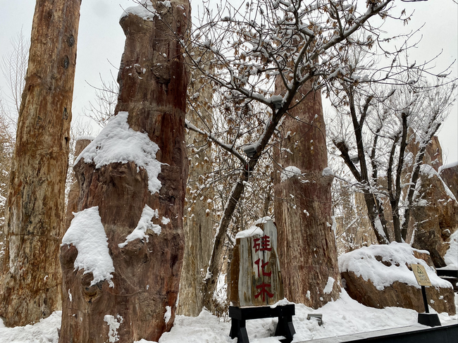 Parcul ecologic antic din Xinjiang Parcul ecologic antic din Xinjiang