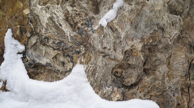 Parcul ecologic antic din Xinjiang(II)