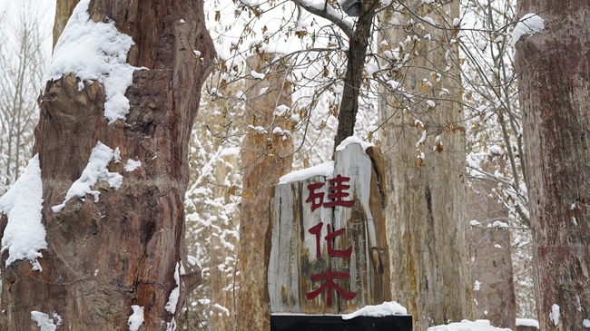 Parcul ecologic antic din Xinjiang(II) Parcul ecologic antic din Xinjiang(II)