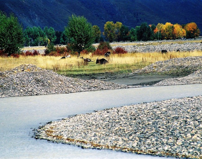 Peisaje de-a lungul șoselei pe Acoperișul Lumii Peisaje de-a lungul șoselei pe Acoperișul Lumii