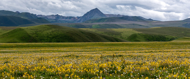 Peisaje de-a lungul șoselei pe Acoperișul Lumii Peisaje de-a lungul șoselei pe Acoperișul Lumii