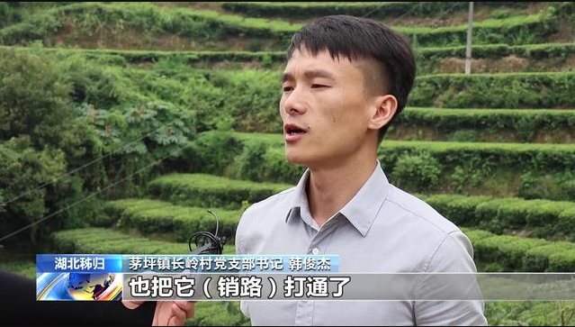 Fermieri de ceai pe calea îmbogățirii Fermieri de ceai pe calea îmbogățirii