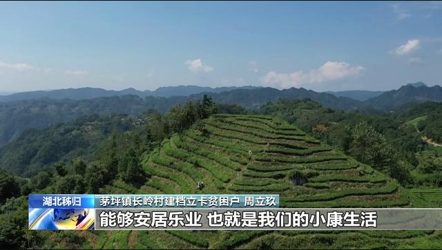 Fermieri de ceai pe calea îmbogățirii Fermieri de ceai pe calea îmbogățirii