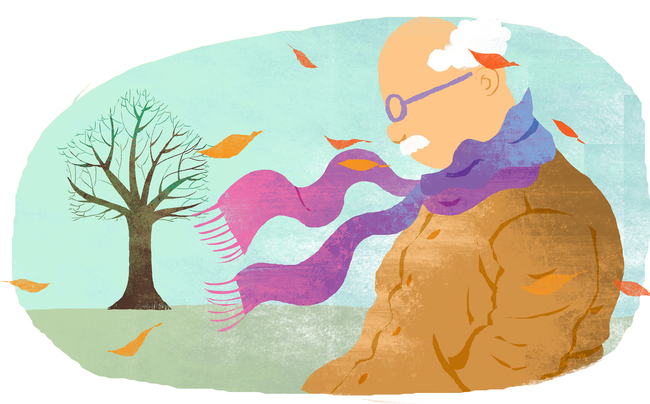 Îmbătrânirea organelor corpului omenesc are un „orar”clar (II) Îmbătrânirea organelor corpului omenesc are un „orar”clar (II)