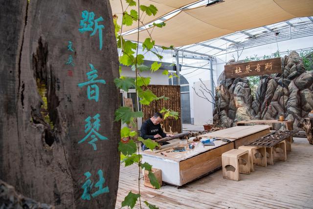 De la scoaterea cărbunelui, la exploatarea culturii