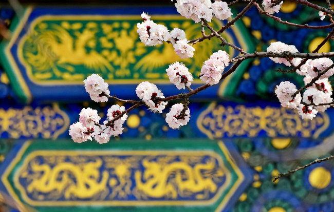 Florile primăverii împodobesc Palatul Imperial