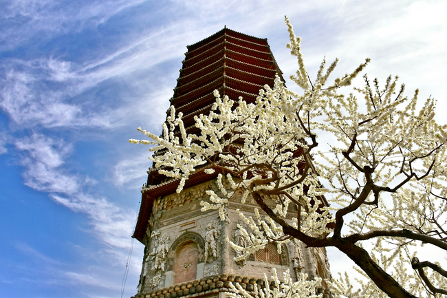 Florile de la Templul Cishou, un tablou de primăvară