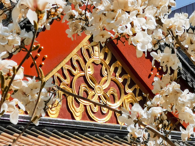 Beijing, lumea florilor