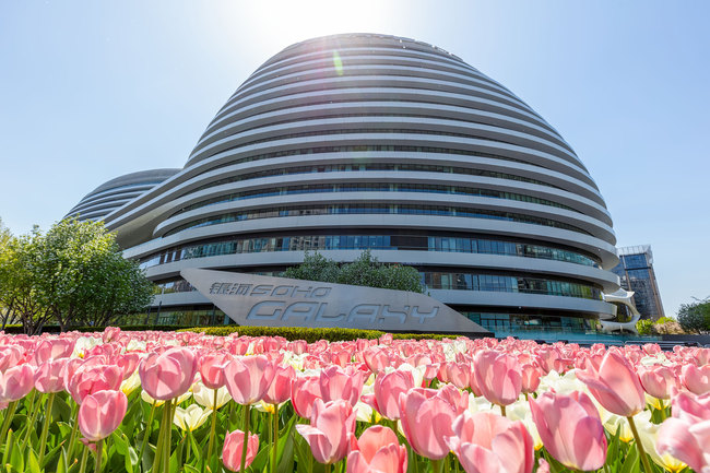 Beijing, lumea florilor Beijing, lumea florilor