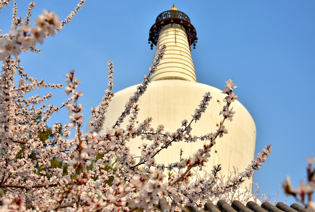 Beijing, lumea florilor