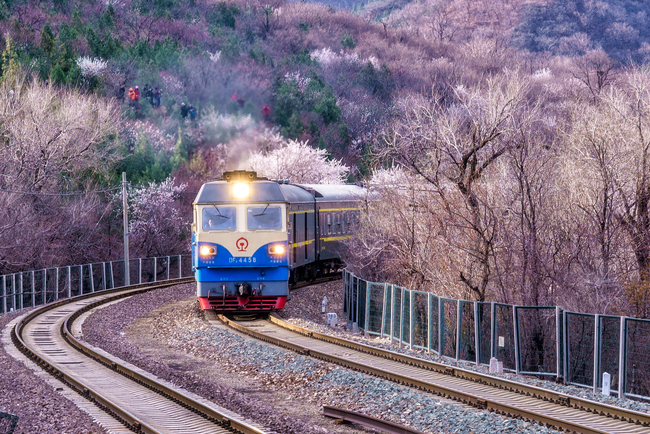 Beijing, lumea florilor