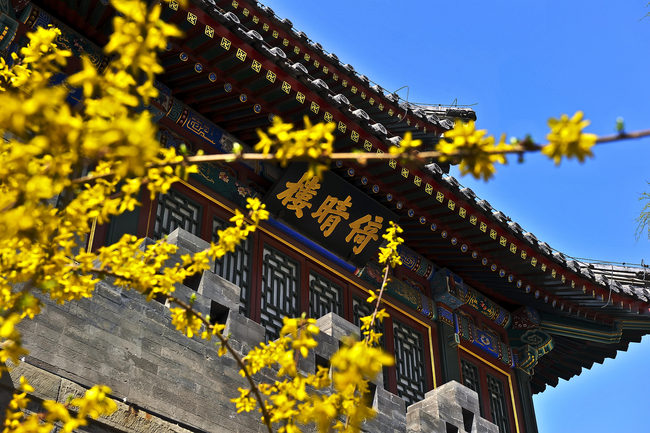 Beijing, lumea florilor