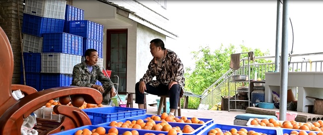 Povestea proprietarului unei firme de comerț electronic