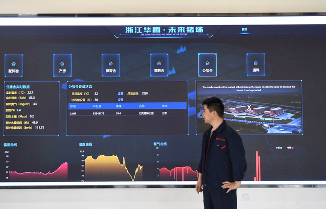 Crescătorie inteligentă de porci la Zhejiang