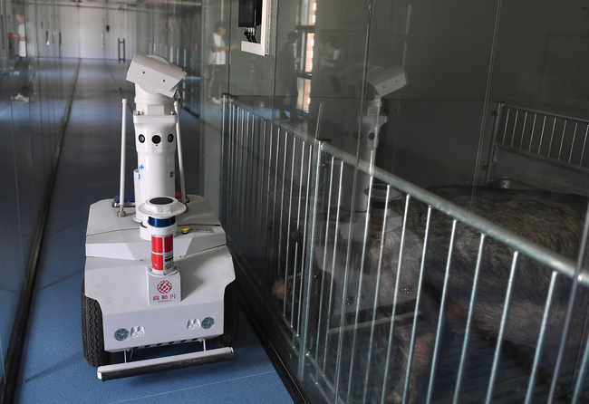 Crescătorie inteligentă de porci la Zhejiang Crescătorie inteligentă de porci la Zhejiang