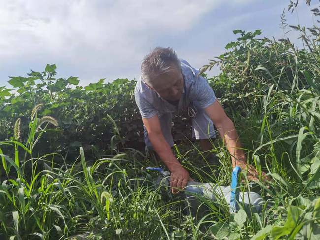 Iubirea aduce o forță inepuizabilă. Povestea unei familii de fermieri din Usu Iubirea aduce o forță inepuizabilă. Povestea unei familii de fermieri din Usu