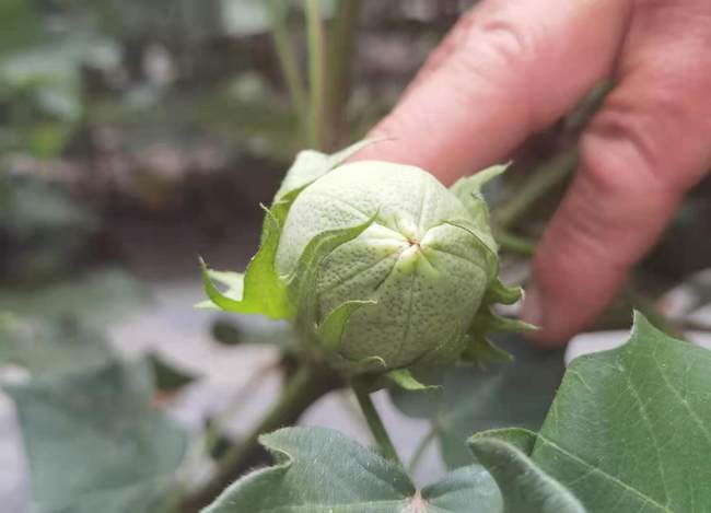 Iubirea aduce o forță inepuizabilă. Povestea unei familii de fermieri din Usu Iubirea aduce o forță inepuizabilă. Povestea unei familii de fermieri din Usu