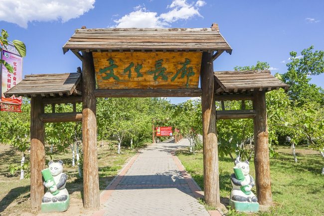 Livada cu duzi în plină vară