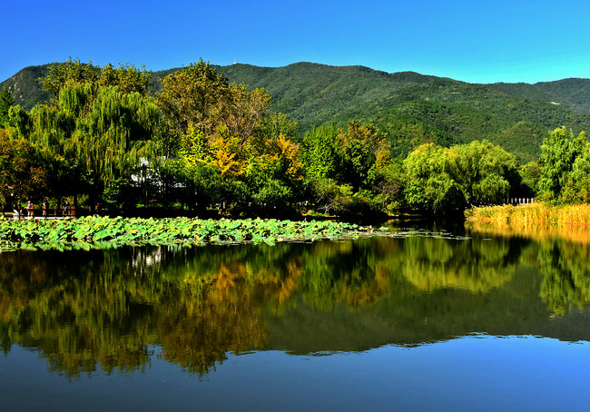 Toamna, la Grădina Botanică Beijing