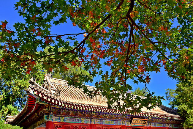 Instantanee de toamnă în Colina Parfumată