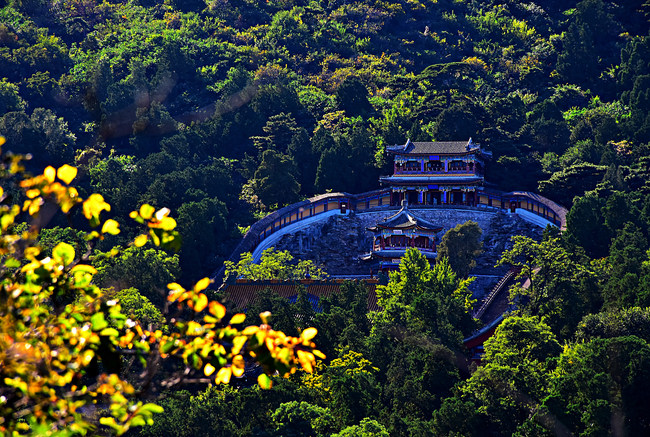 Instantanee de toamnă în Colina Parfumată