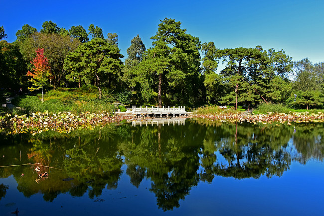 Instantanee de toamnă în Colina Parfumată