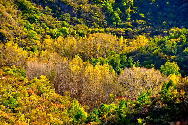 Satul Xidamo, îmbrățișat de culorile toamnei