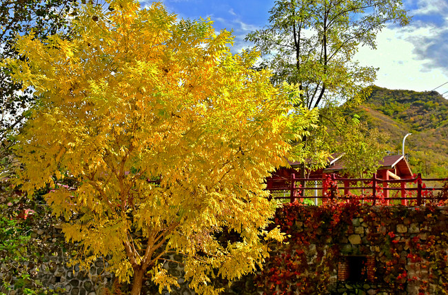 Satul Xidamo, îmbrățișat de culorile toamnei