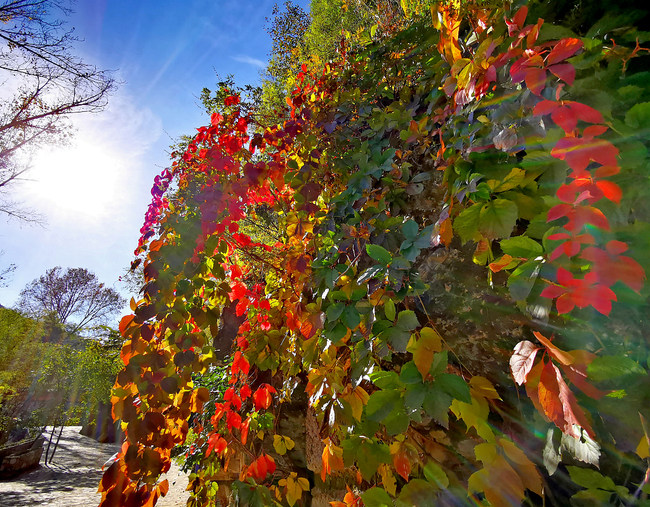 Satul Xidamo, îmbrățișat de culorile toamnei