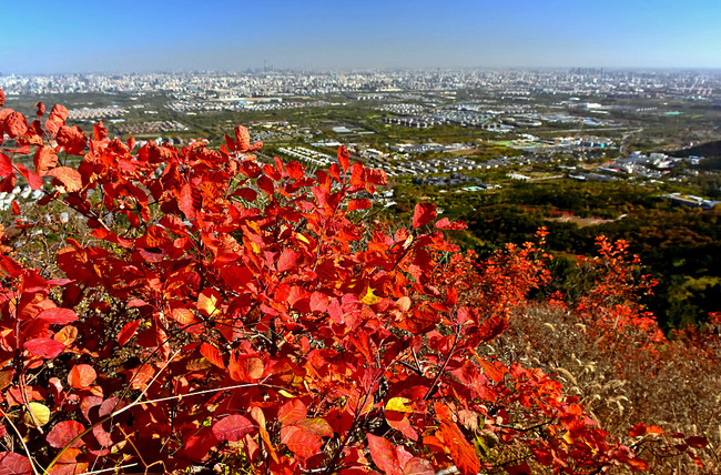 Muntele Xishan, îmbrăcat în frunze roșii