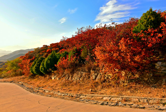 Muntele Xishan, îmbrăcat în frunze roșii