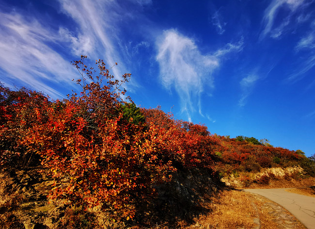 Muntele Xishan, îmbrăcat în frunze roșii