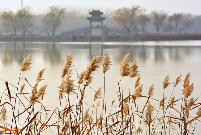 Plimbare la Palatul de Vară, la începutul iernii