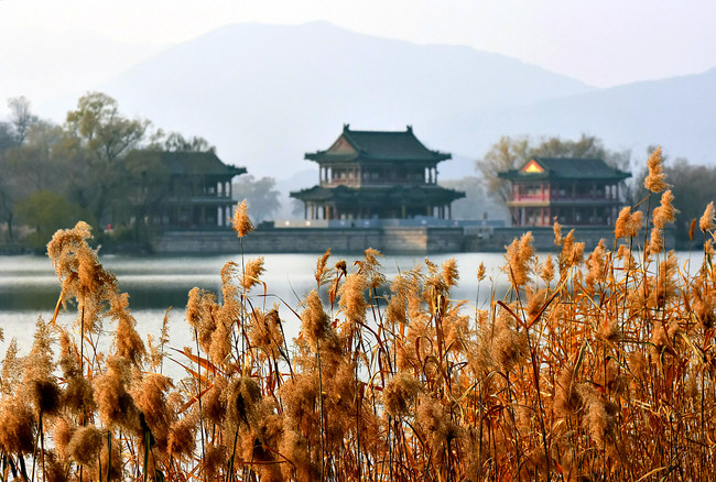 Plimbare la Palatul de Vară, la începutul iernii