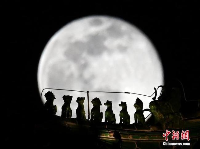图片默认标题_fororder_PHOTCe7CnUkk6fnWE1jEgaX0200311_1000x2000