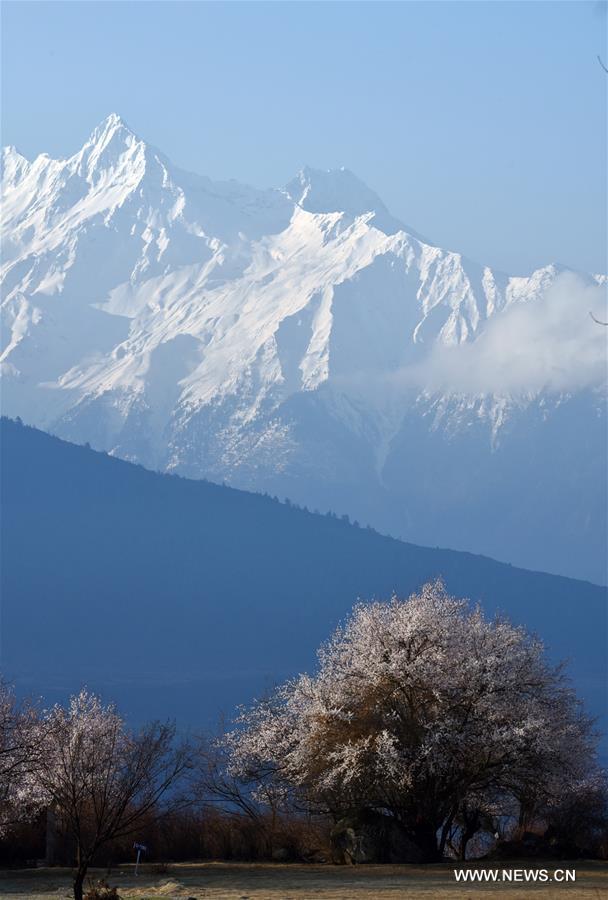 图片默认标题 图片默认标题_fororder_river04022