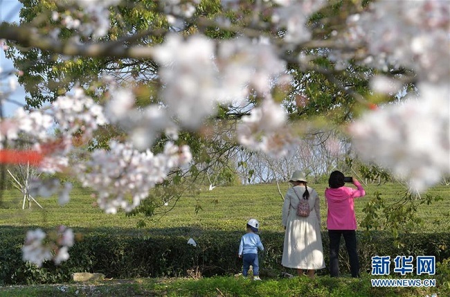 Vikend u Kini od 2,5 dana zbog podsticanja potrošnje Vikend u Kini od 2,5 dana zbog podsticanja potrošnje_fororder_2.5-day weekend 2