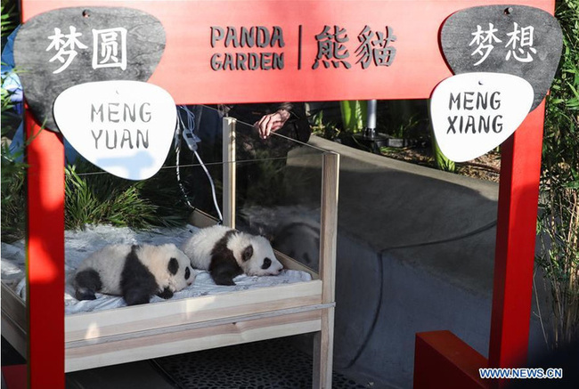 图片默认标题_fororder_panda1912101