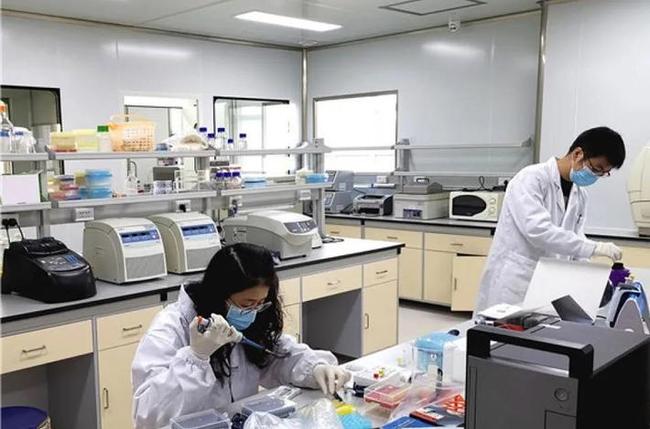 图片默认标题_fororder_ruiping03