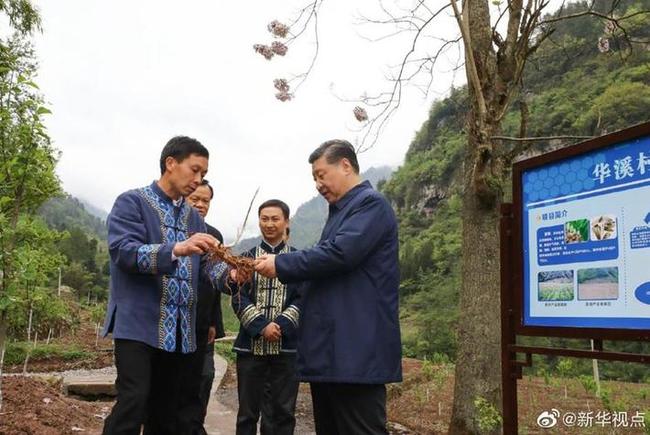 图片默认标题_fororder_xi1904171