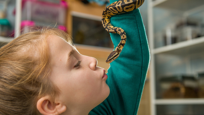 Devojčica sa neobičnim ljubimcima Devojčica sa neobičnim ljubimcima